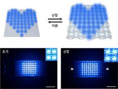 25% 늘려도 그대로인 스트레처블 디스플레이 개발 이미지