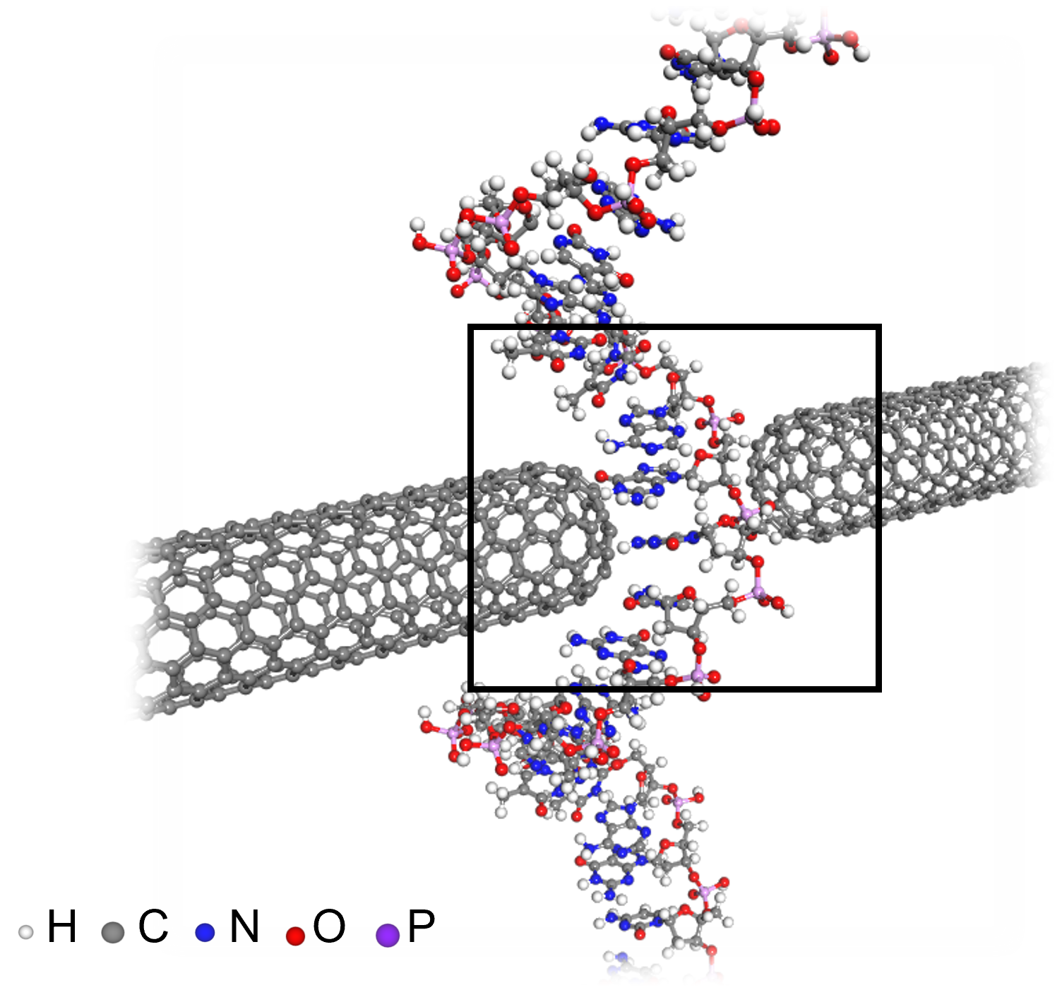 KAIST Proposes AI Training Method that will Drastically Shorten Time for Complex Quantum Mechanical Calculations 이미지