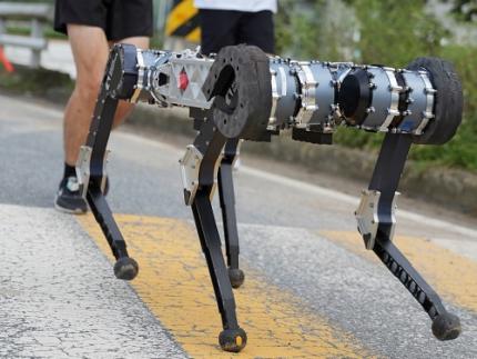 KAIST’s Beach-Roaming Quadrupedal Robot “RAIBO” to Run a Marathon! 이미지