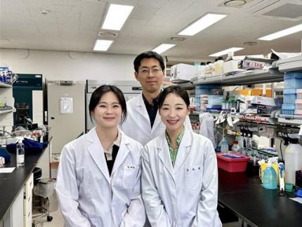 KAIST Discovers Protein Switch that Turns Anti-Viral Immune Response On and Off 이미지