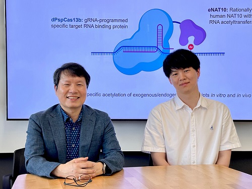 KAIST Succeeds in Selectively Modifying Desired RNA with Genetic Scissors 이미지