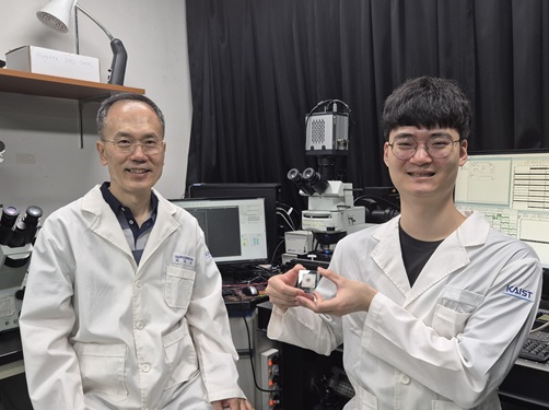 KAIST Successfully Implements 3D Brain-Mimicking Platform with 6x Higher Precision 이미지