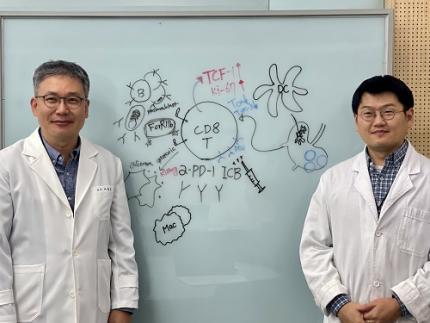 KAIST Unveils New Possibilities for Treating Intractable Brain Tumors 이미지