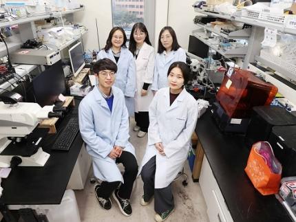 KAIST Research Team Develops Stretchable Microelectrodes Array for Organoid Signal Monitoring 이미지