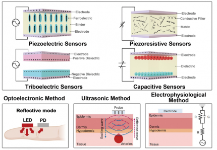 AI-Driven Wearable Blood Pressure Sensor for Continuous Health Monitoring – Published in Nature Reviews Cardiology 이미지