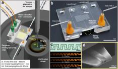 KAIST Captures Protein Reaction in Just Six Milliseconds 이미지