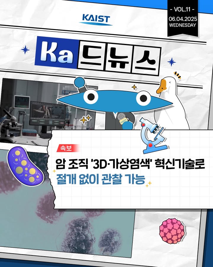 #kaist #넙죽이 #ka드뉴스 #홀로토모그래피 \n🔬절개 없이도 암 조직을 3D로 생생하... 이미지