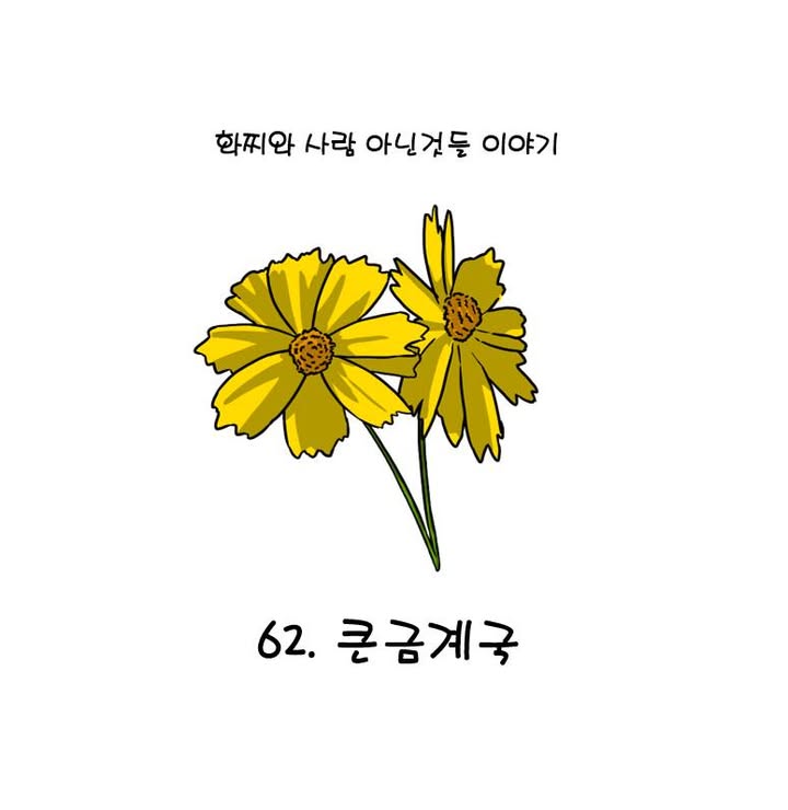 여름부터 초가을까지 캠퍼스와 갑천에서 볼 수 있는 큰금계국🌼\n한 해의 반절을... 이미지