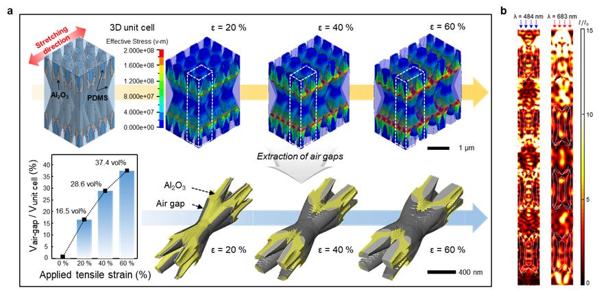 Figure 2. Mechanical and optical simulations of the 3D scatterer