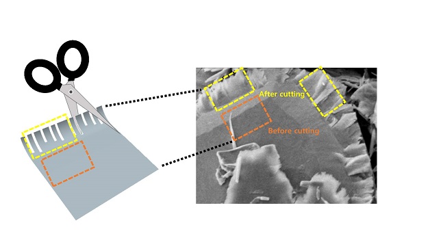 Schematic view of scissoring 2D sheets to nanoribbon.