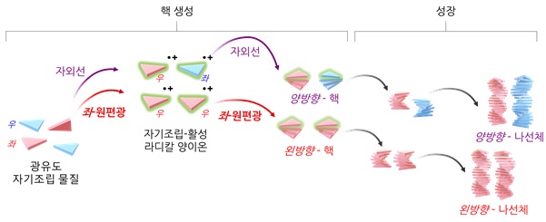 그림 1. 자기조립체에서 초분자 카이랄성이 발현되는 메커니즘 모식도