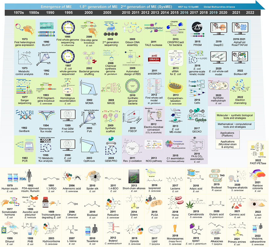 Metabolic Engineering Timeline