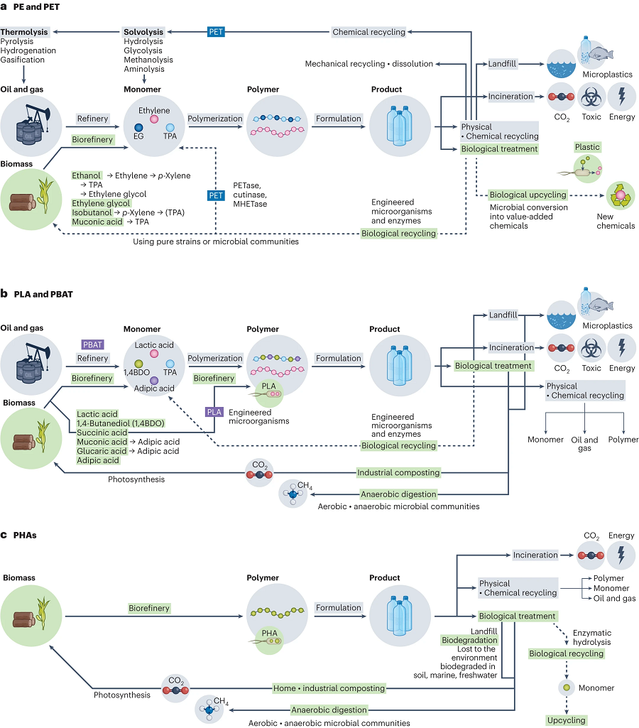 Life cycle of plastics produced using microbial biotechnologies.