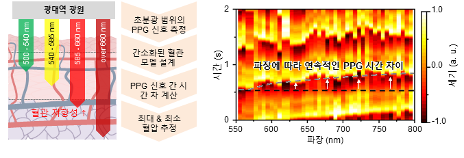 그림 2. (좌) 초분광 PPG 모듈을 통한 연속 혈압 모니터링 과정. (우) 측정한 초분광 범위의 PPG 신호 및 이를 통한 시간 차이 계산.