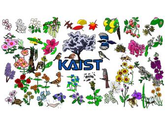 [KAISTian] 제1회 YouTube 공모전 장려상 - Beautiful Nature in KAIST 이미지